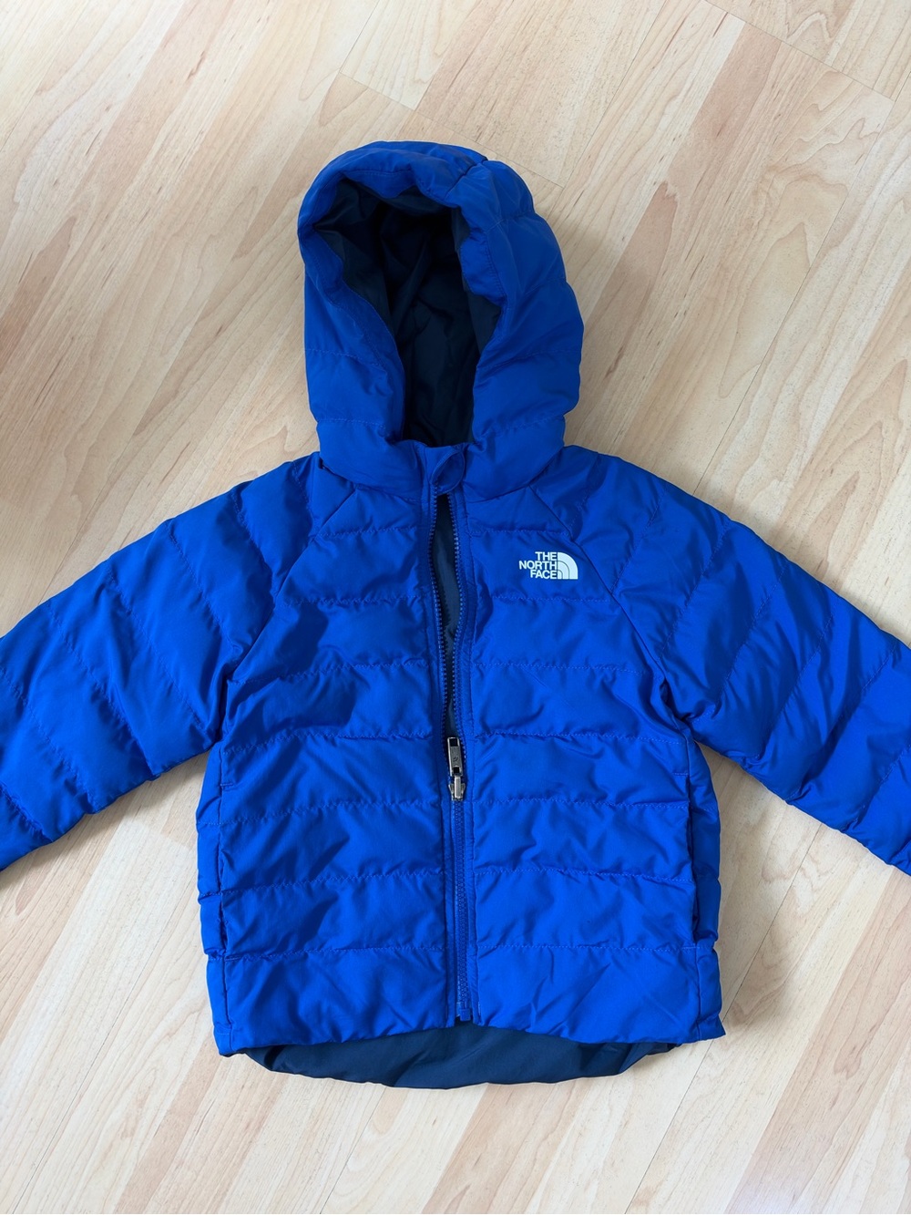The North Face Kids Royal Blue Hooded Puffer Jacket